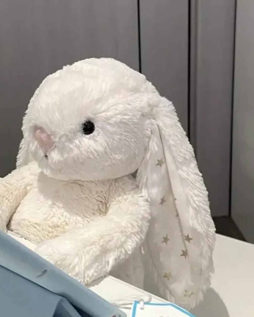 Bashful Twinkle Bunny