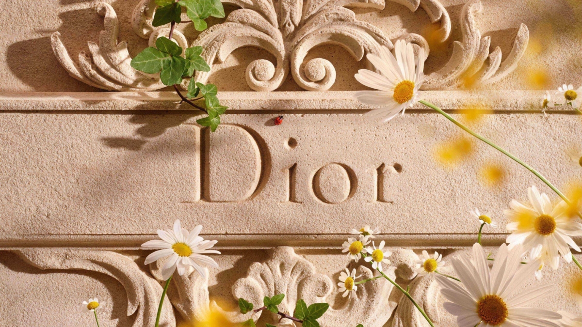 Dior Paradise